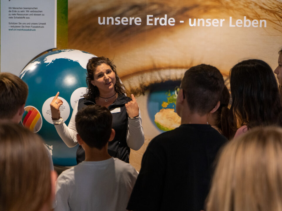 Führung durch die Ausstellung