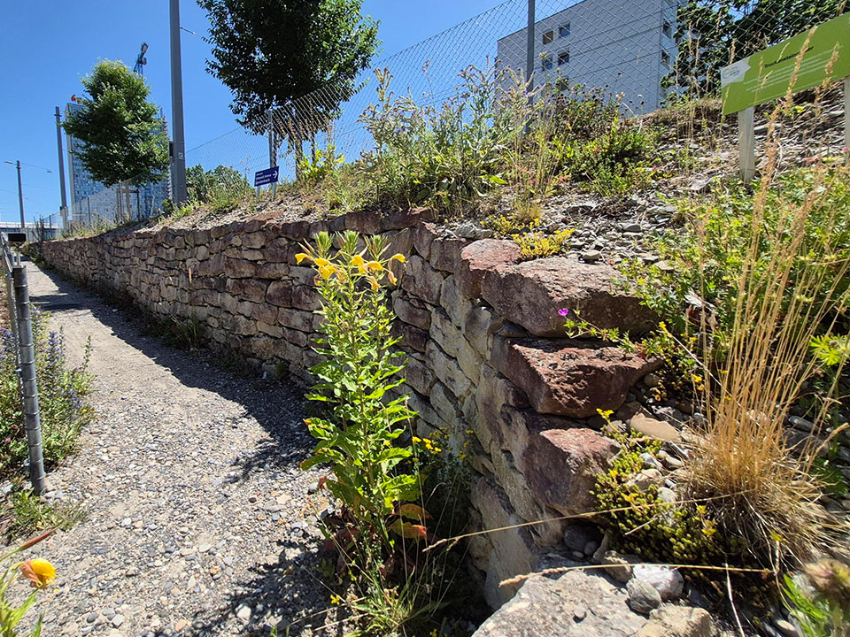 Naturmodule Trockensteinmauer
