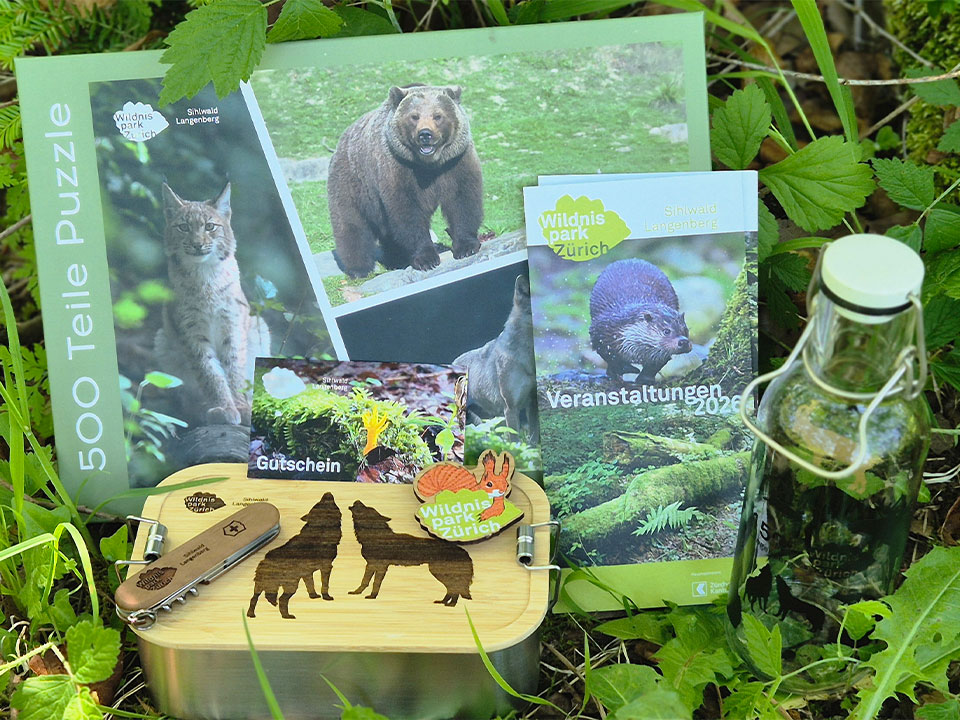x Gewinnerpfad Monatspreis Juni Wildnispark Zuerich