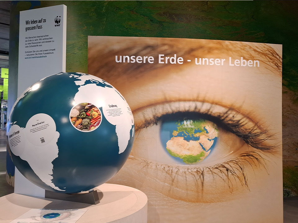 x Kinderleitfaden WWF Fussabdruck