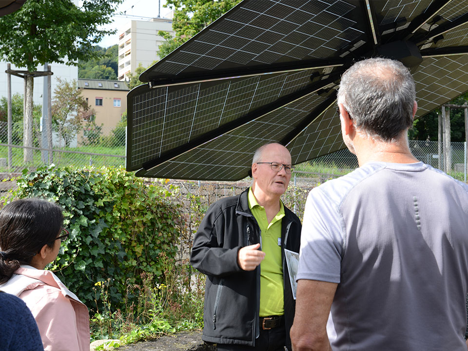 fuehrung naturmodule vor der haustuere mauereidechse gruene wand
