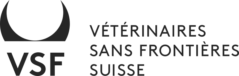 vsf logo st black norm