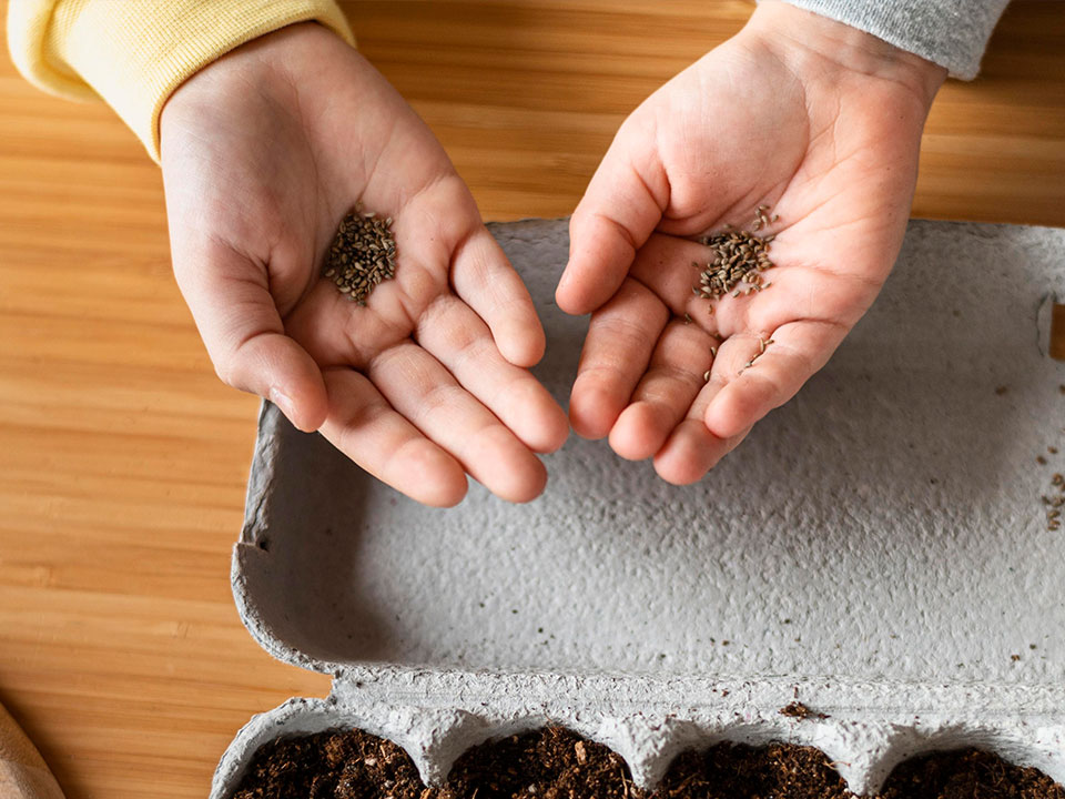 x Festival der Natur Seedbombs