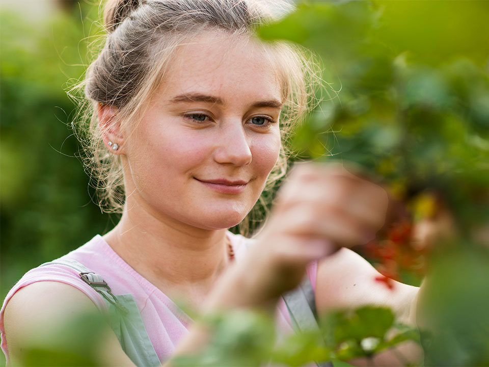 x Solawi Halde Gemuese Abo Depot Standort