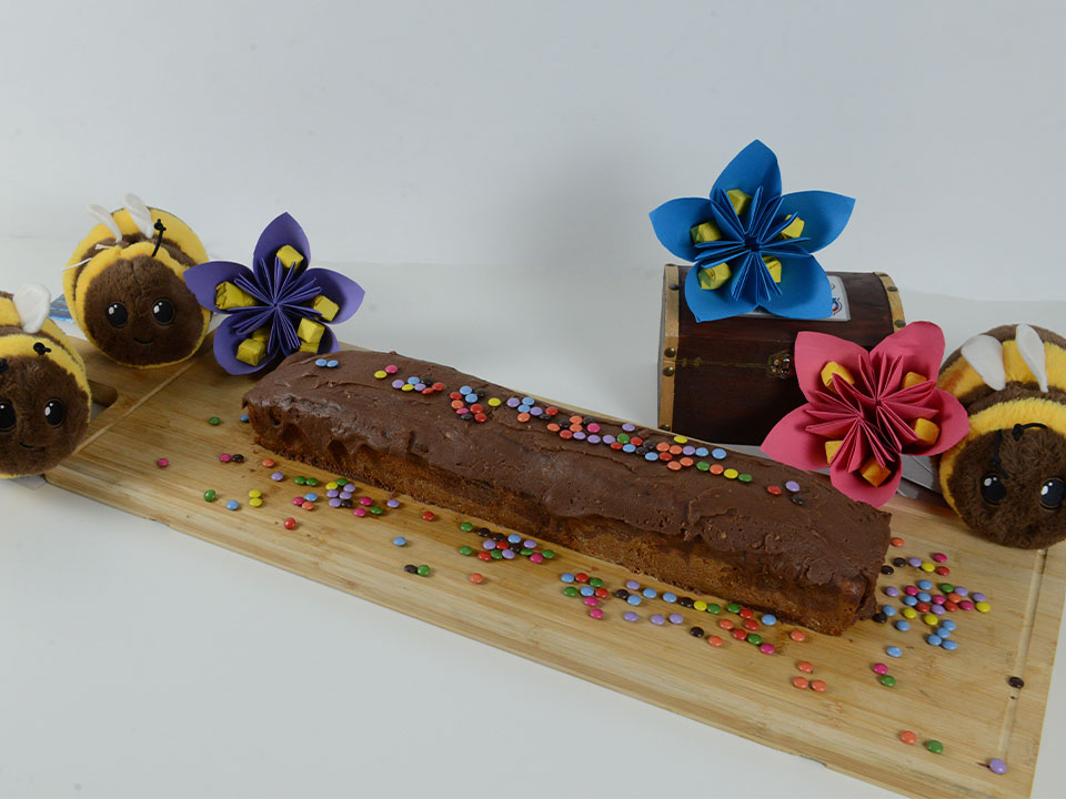 Kindergeburtstag Bienen Kuchen Umwelt Arena