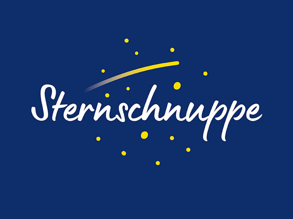 x Sternschnuppe
