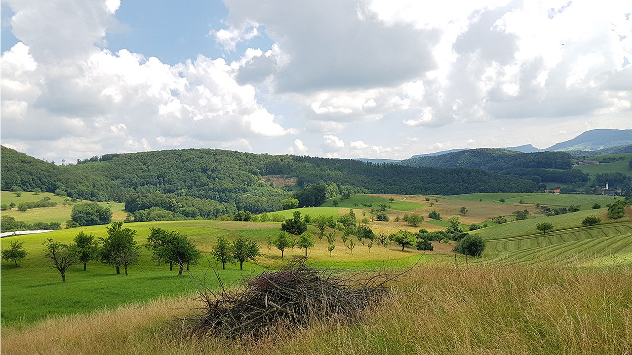 x vortrag birdlife oekologische infrastruktur lebensnetz fuer die schweiz